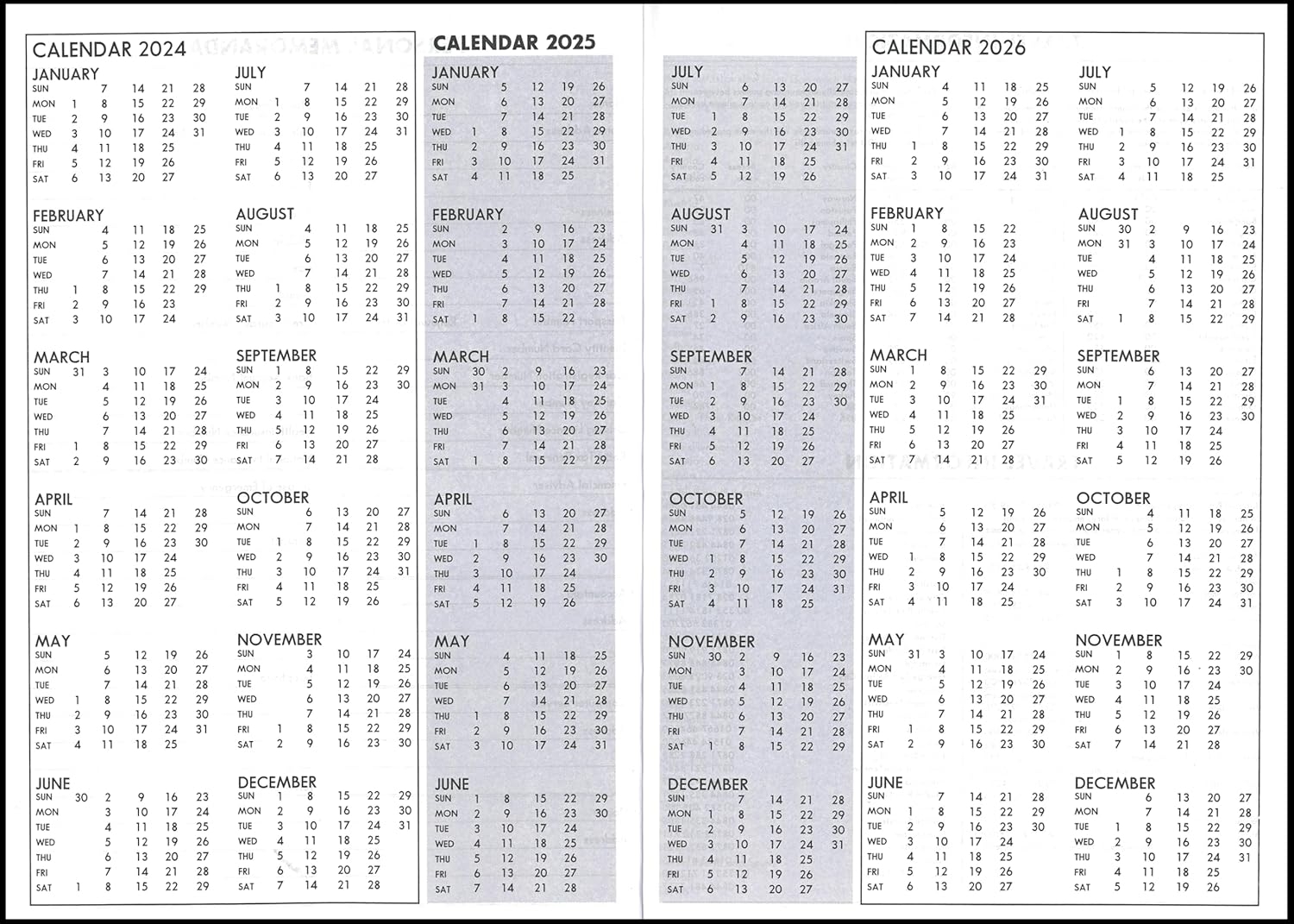 2025 a4 day a page appointment diary desk planner