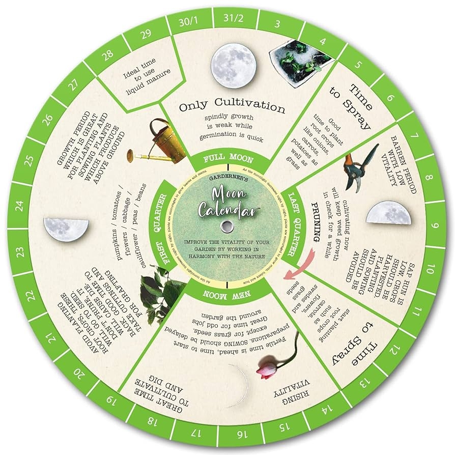 Amazon Gardening Moon Calendar Perpetual Lunar Cycle Calendar For Gardeners Farmers Almanac Determine Optimal Times For Gardening Activities Biodynamic Calendar Companion Planting Chart Garden Planner Patio Lawn Garden Amazon Gardening Moon Calendar Perpetual Lunar Cycle Calendar For Gardeners Farmers Almanac Determine Optimal Times For Gardening Activities Biodynamic Calendar Companion Planting Chart Garden Planner Patio Lawn Garden