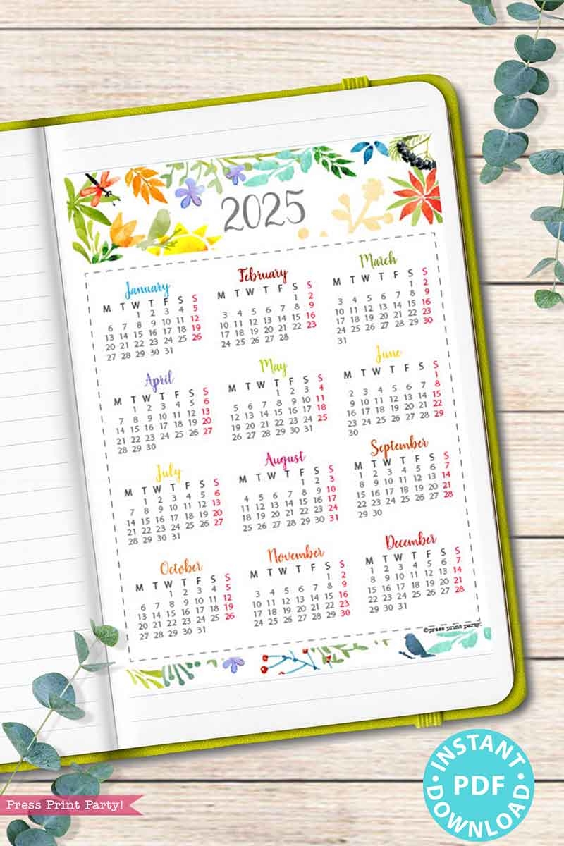 Monday Start 2025 Calendar Printable Set For Bullet Journals Or Binders Watercolor for Bullet Journals Or Binders 