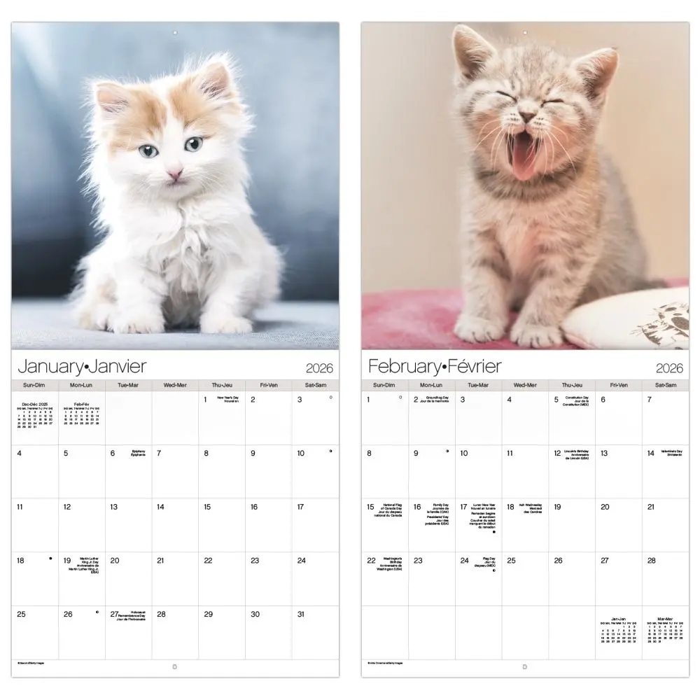 2025 Kittens Calendars A Mew sical Year Calendars