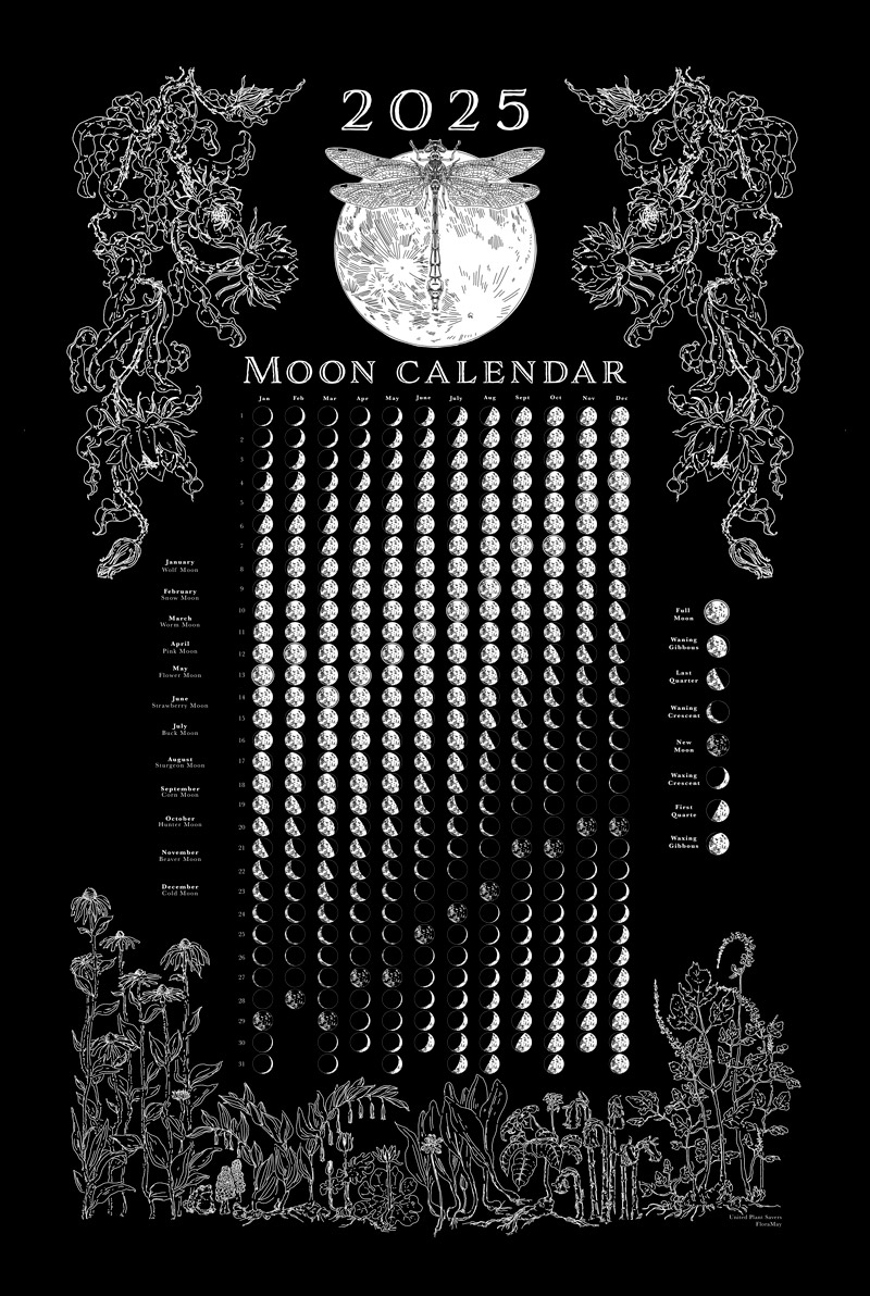 2025 Moon Phase Calendar Printable