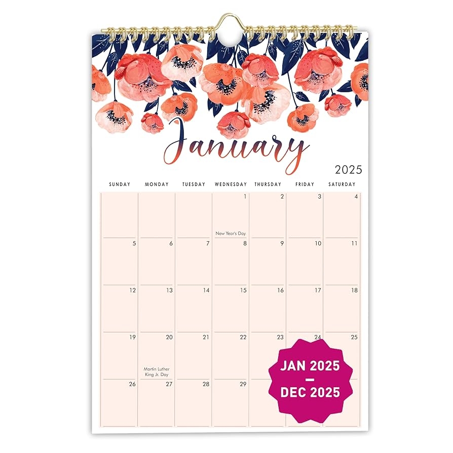 Amazon Mudrit 2025 Wall Calendar 12 X 17 12 Monthly Calendar From Jan 2025 Till Dec 2025 Spiral Bound For Office Home Family Business School Appointment Planning Office Products