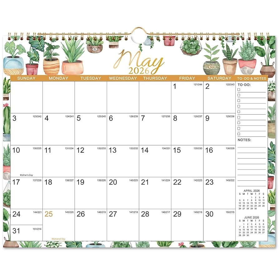 Amazon Wall Calendar 2025 2026 2025 2026 Calendar Jul 2025 Dec 2026 14 8 X 11 5 18 Monthly Wall Calendar 2025 2026 With Thick Paper Hanging Hook Perfect For Office Home Succulent Cactus Office Products