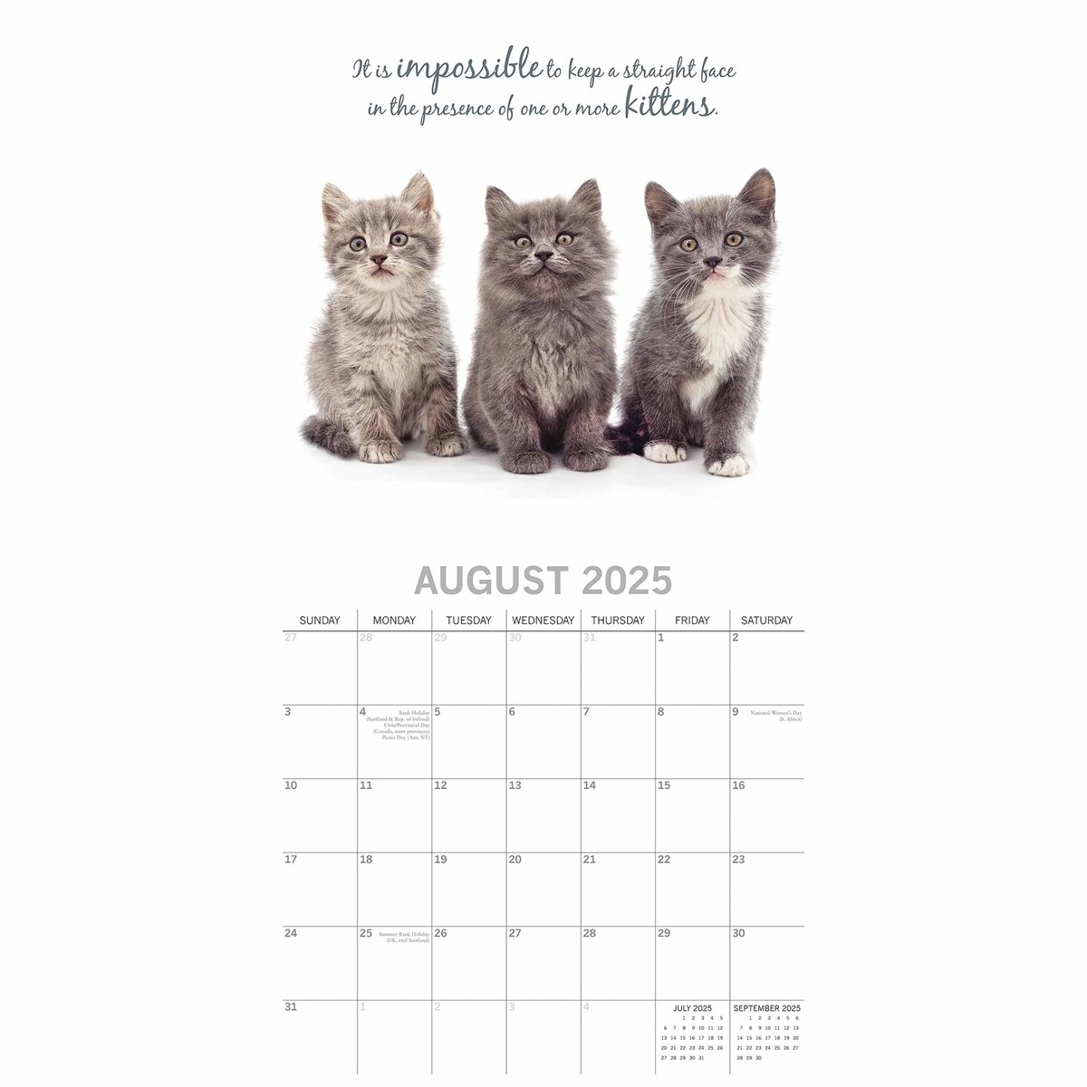 Cute Kittens Calendar 2025