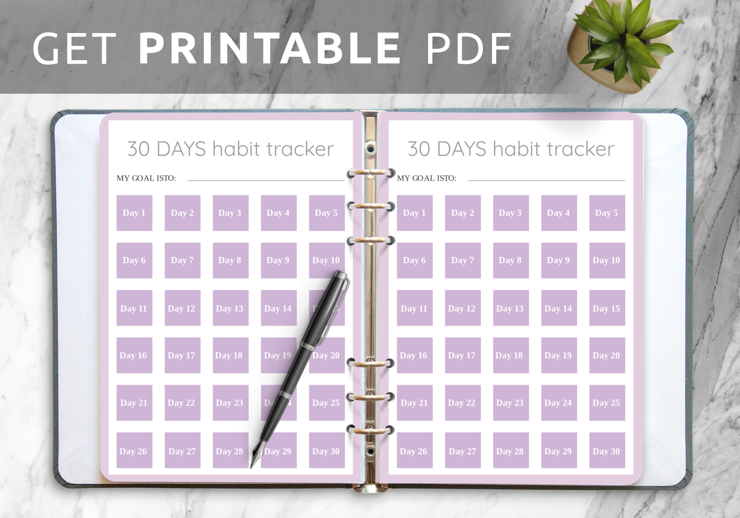 30 Day Printable Calendar Blank