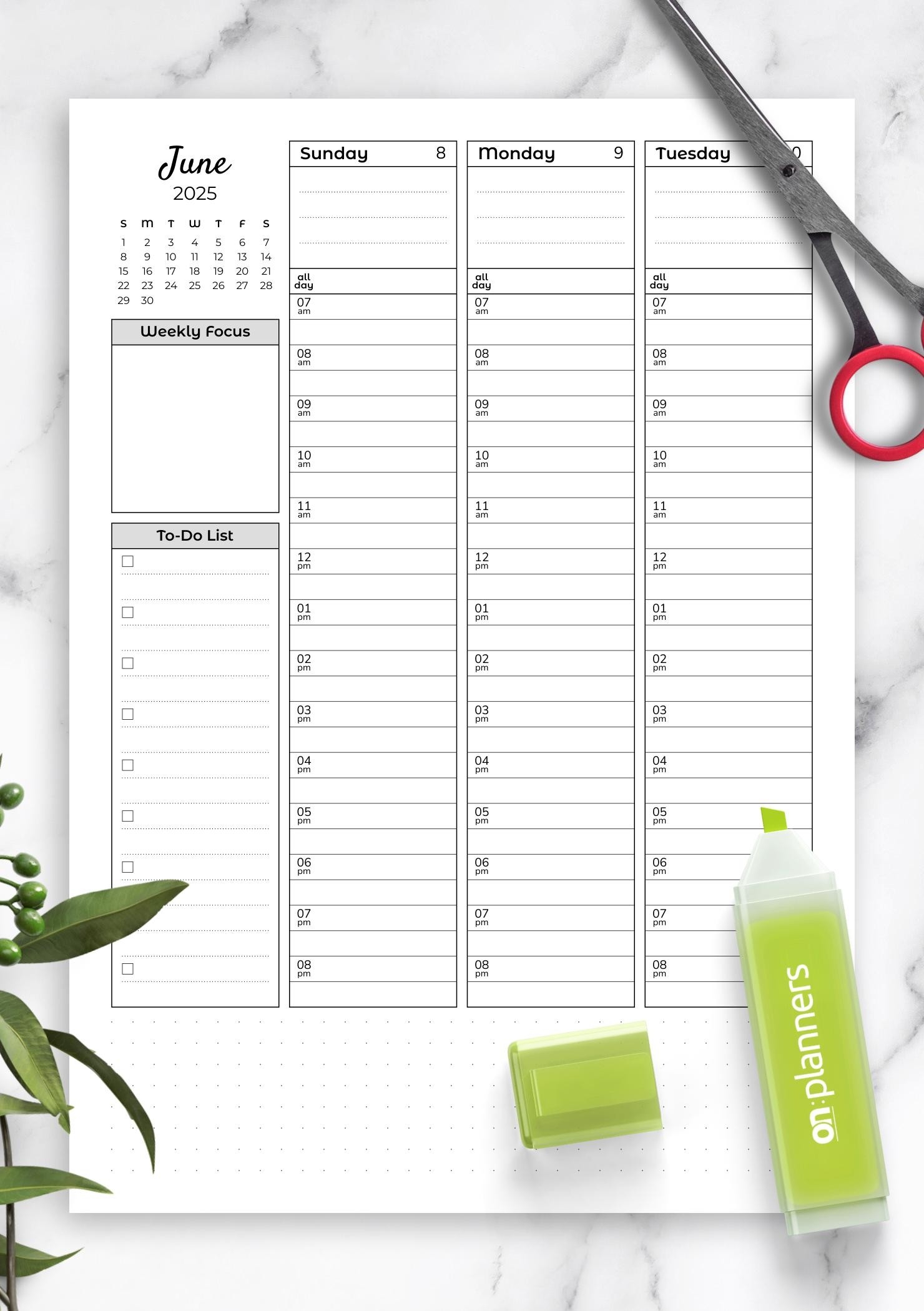 Download Printable Weekly Hourly Planner With Todo List PDF