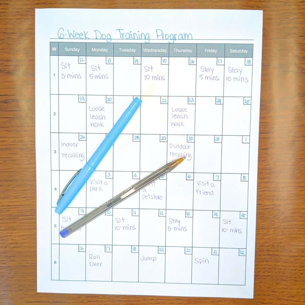 Six Week Calendar Printable