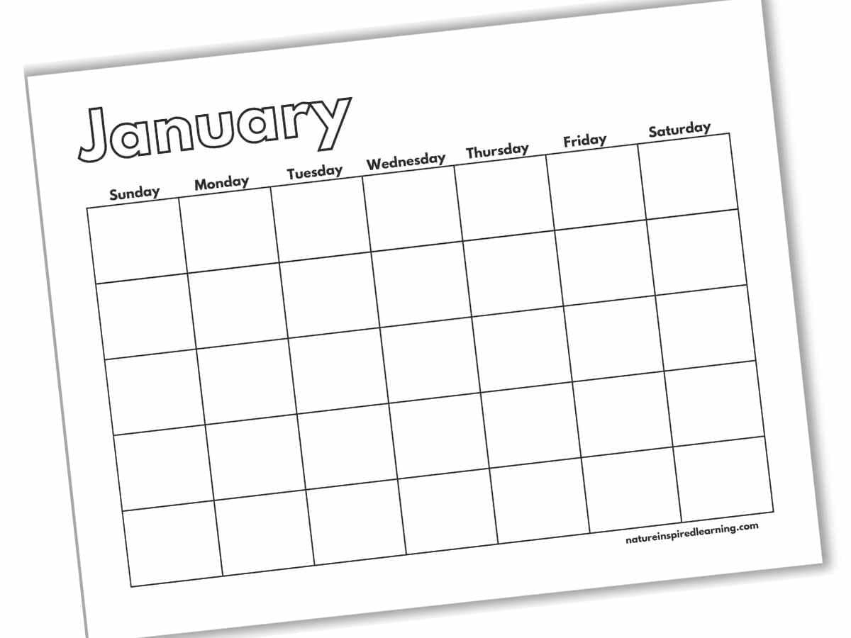 Free Printable Fill In Calendar