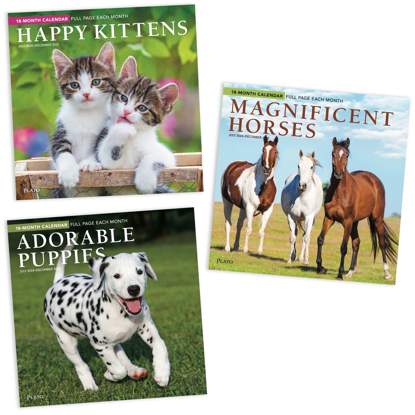 Kittens Puppies And Horses 2025 18 Months Bundle Three Square Wall Calendars July 2024 December 2025 Plato Animals Pets Family Michaels