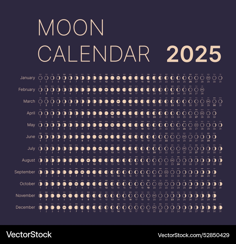 Moon Phase Calendar 2025 Royalty Free Vector Image